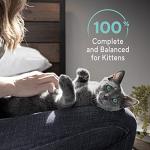 Sheba Kitten Paté Cat Food Trays (24 Count, 48 Servings)