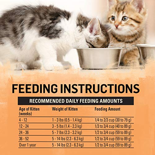 Purina Beyond High Protein Kitten Chicken & Oatmeal