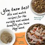 Grain Free Chicken & Egg Cat Food - 3 LB