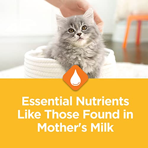 Purina Kitten Chow for Healthy Muscle + Brain - 14 lb. Bag