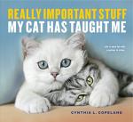 Cat Wisdom: Important Lessons from Our Feline Friends