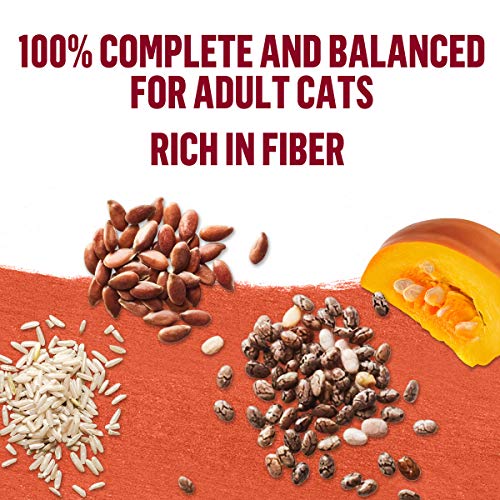 Purina Beyond Natural Cat Food Complement Variety Pack