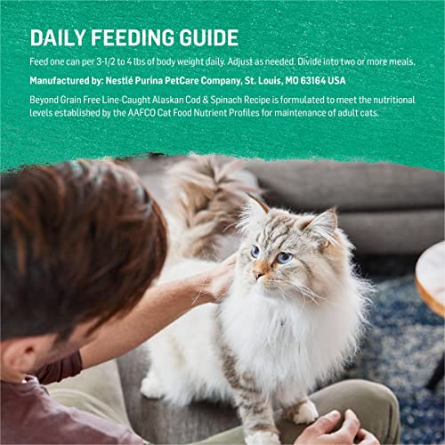 Purina Beyond Grain Free Ocean Whitefish Cat Food