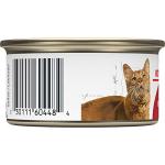 Royal Canin Adult Feline Health Wet Food, 3 oz (24-pack)