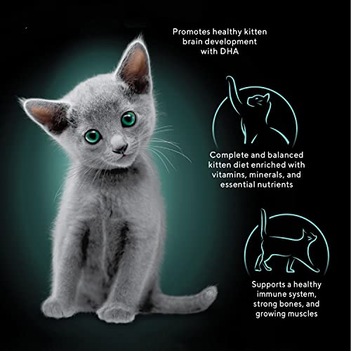 Sheba Kitten Paté Cat Food Trays (24 Count, 48 Servings)