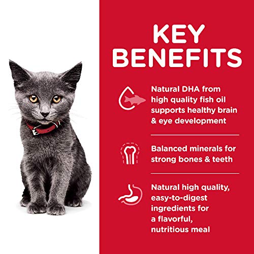 Chicken Recipe Kitten Indoor Cat Food 7 lb