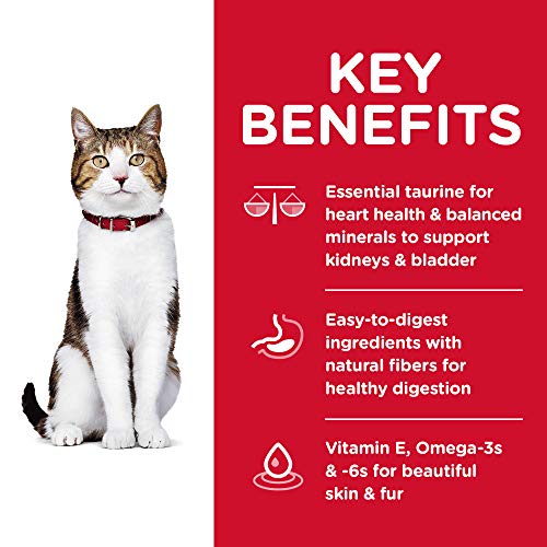 Science Diet Dry Cat Food for Senior Cats, Chicken, 4lb