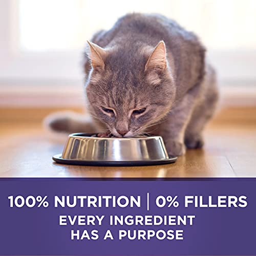 Purina ONE Hairball Control Cat Food - 16 lb
