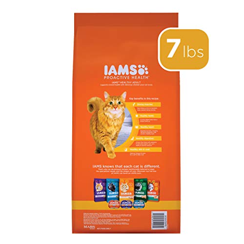 IAMS PROACTIVE Healthy Chicken Cat Kibble, 7lb Bag