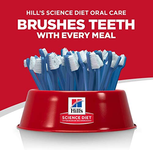 Hill's Science Diet Adult Cat Food, Oral Care