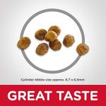 Science Diet Dry Cat Food for Senior Cats, Chicken, 4lb