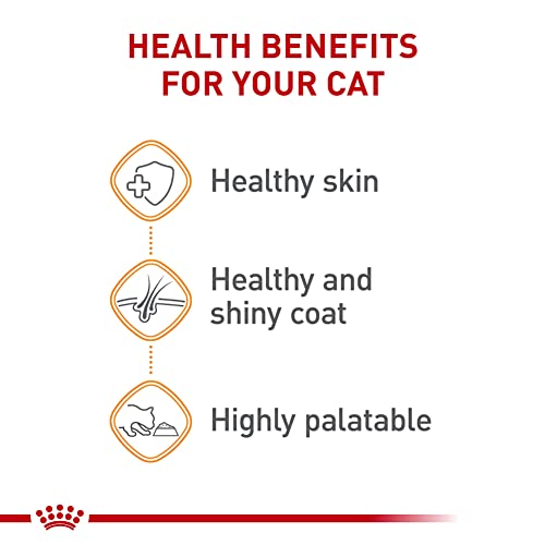Royal Canin Hair & Skin Care Cat Food, 24 cans