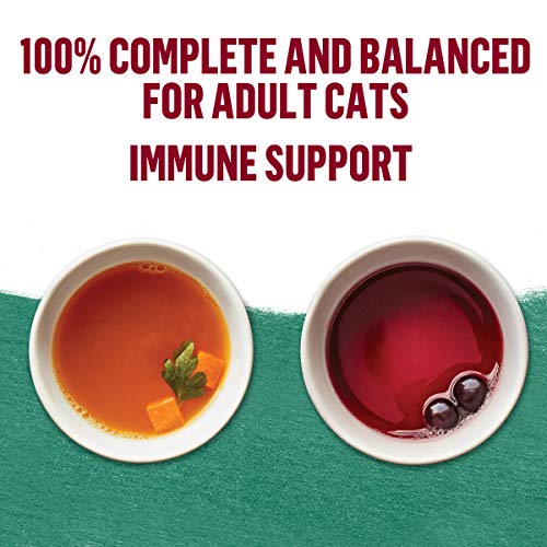 Purina Beyond Variety Pack - Immune Support - 8 Pouches