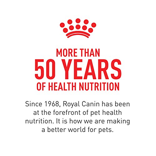 Royal Canin Adult Feline Health Wet Food, 3 oz (24-pack)