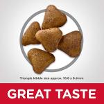 Hill's Science Diet Indoor Cat Food, Chicken Recipe