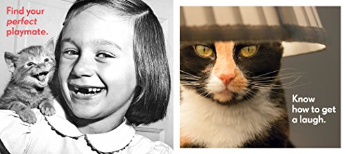 Cat Wisdom: Important Lessons from Our Feline Friends