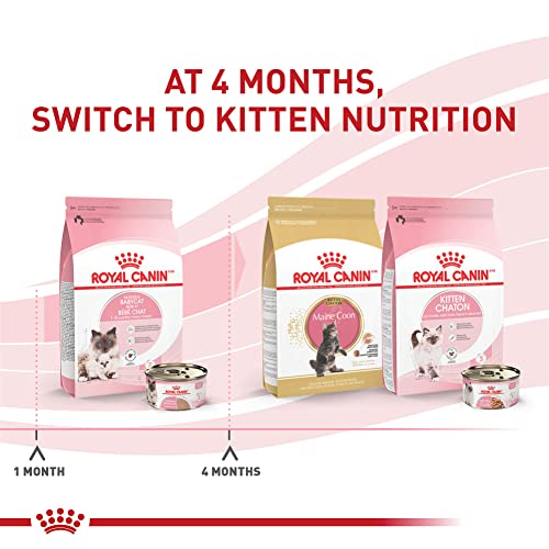 Royal Canin Mother & Babycat Ultra Soft Mousse