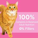 IAMS Adult Sensitive Digestion & Skin Turkey Cat Food