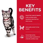 Hill's Science Diet Indoor Adult Cat Food, Chicken Recipe - 7 lb