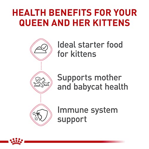 Royal Canin Mother & Babycat Ultra Soft Mousse