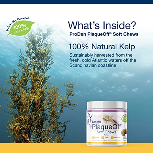 ProDen PlaqueOff Soft Chews with Natural Kelp for Healthy Cat Teeth & Breath