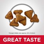 Hill's Science Diet Indoor Adult Cat Food, Chicken Recipe - 7 lb