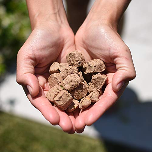 Freeze-Dried Raw Food Diet for Cats, 2-Pack, Beef