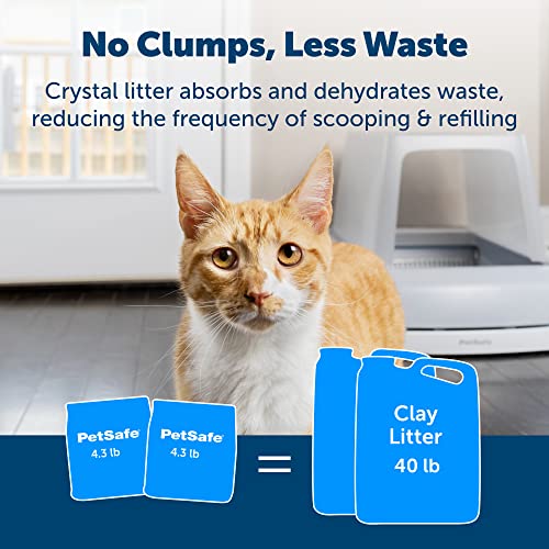 PetSafe ScoopFree Blue Crystal Litter, 2-Pack – Fast Odor Absorption – Mess-Free