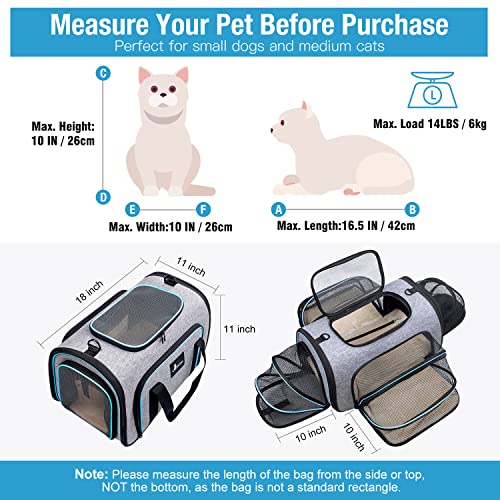 Expandable Soft-Sided Pet Carrier for Cats