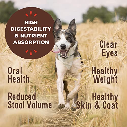 Freeze Dried Raw Cat & Dog Food Topper - Beef, 18oz