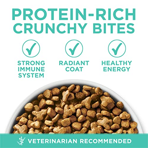 Purina ONE Sensitive Stomach & Skin - 16 lb. Bag