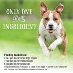 Freeze-Dried Green-Lipped Mussels Cat Treats - 2 Oz