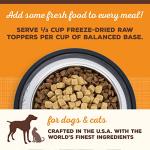 Freeze Dried Raw Cat & Dog Food Topper - Beef, 18oz
