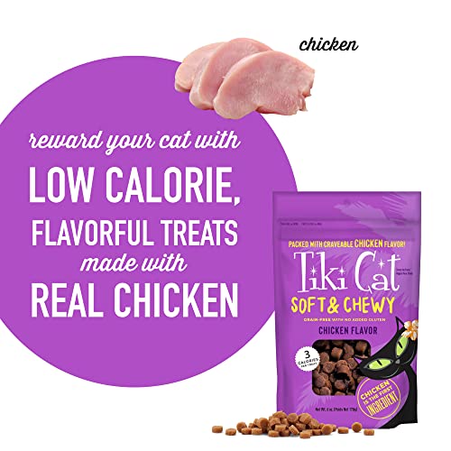 Tiki Pets Chicken Cat Treats, 6oz Pouch