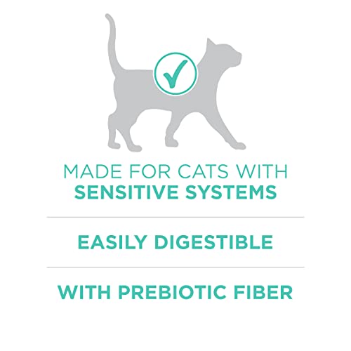 Purina ONE Sensitive Stomach & Skin - 16 lb. Bag