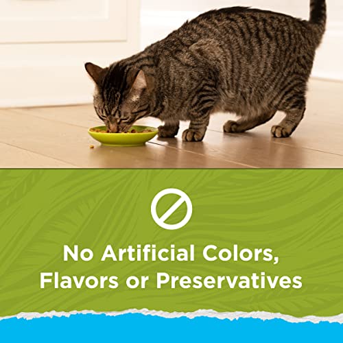 Purina Cat Chow Hairball & Weight Control - 13 lb