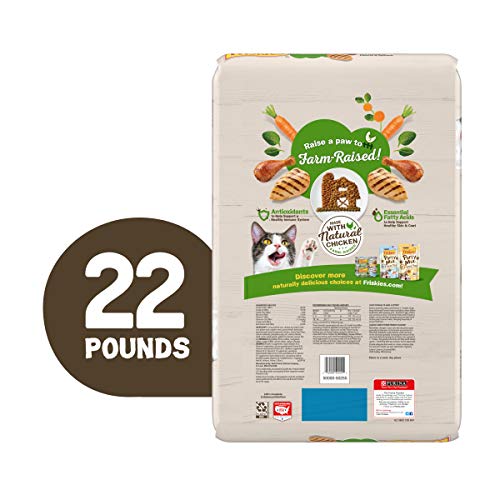 Purina Friskies Dry Cat Food - Chicken, 22lb