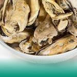 Freeze-Dried Green-Lipped Mussels Cat Treats - 2 Oz