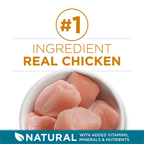 Purina ONE Cat Food - Tender Chicken Blend