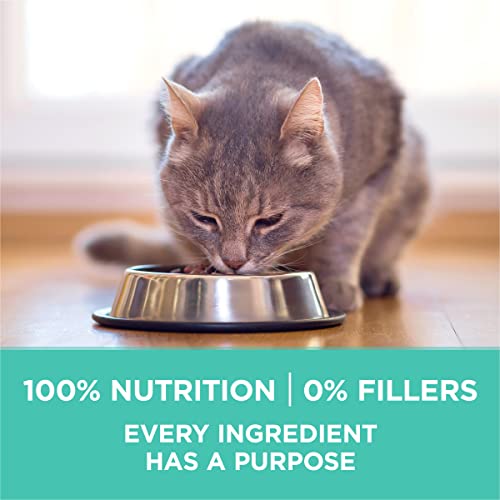 Purina ONE Sensitive Stomach & Skin - 16 lb. Bag