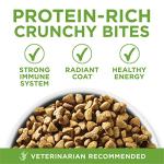 Purina ONE Indoor Cat Food - 3.5 lb