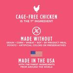 Indoor Health Dry Cat Food with Real Chicken - 5 lb