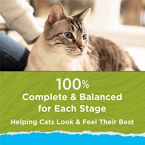 Purina Cat Chow Hairball & Weight Control - 13 lb