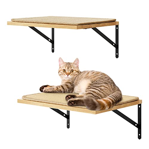 Cat Climbing Shelves with Scratching Mat and Hammock