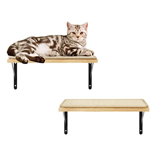Cat Climbing Shelves with Scratching Mat and Hammock