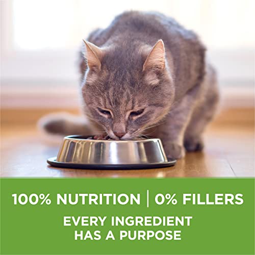 Purina ONE Indoor Cat Food - 3.5 lb