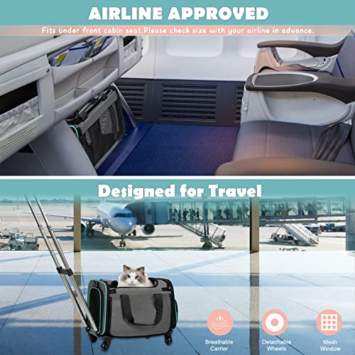 Foldable Rolling Pet Carrier for Small Cats