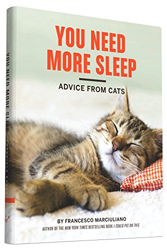 Funny Cat Book: Advice from Cats for Cat Lovers