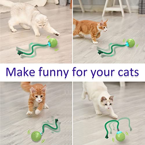 Interactive Rotating Motion Activate Cat Toy Ball (Green)