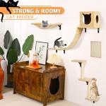 Wall-Mounted Cat Furniture Set in Cats Niche